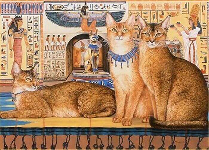 Кошка - священное животное древнего египта