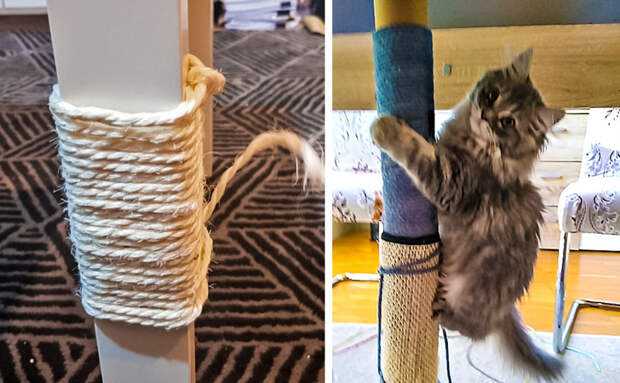 Интересные лайфхаки для кошек и котов: хитрости для кормления и ухода за питомцем, самодельные игрушки и прочие приспособления