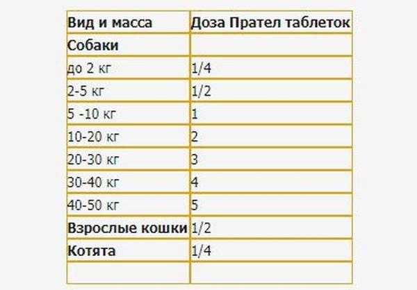Прател для кошек — инструкция по применению, показания и противопоказания, аналоги, отзывы
