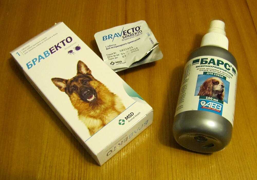 Когда начинать давать собаке таблетки от клещей. Лекарство от клещей для собак уколы. Противоклещевые препараты для собак. Таблетки для животных от клещей. Таблетки от клещей для собак название.