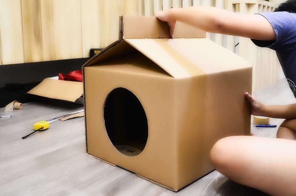 Домик для кошки своими руками: как сделать пошагово? 150+ (фото) из дерева, картона, коробок, с когтеточкой