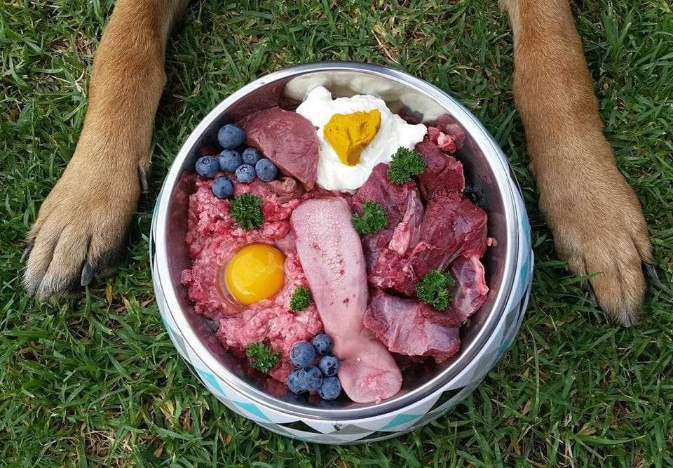 Чем кормить собаку после стерилизации: при натуральном и промышленном рационе