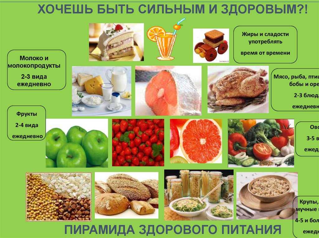 ᐉ можно ли хомякам помидоры? - zoopalitra-spb.ru