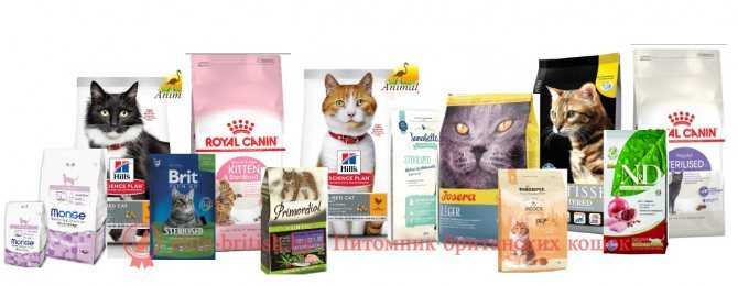 Корм для кошек “наша марка” – отзывы ветеринаров, состав, цена