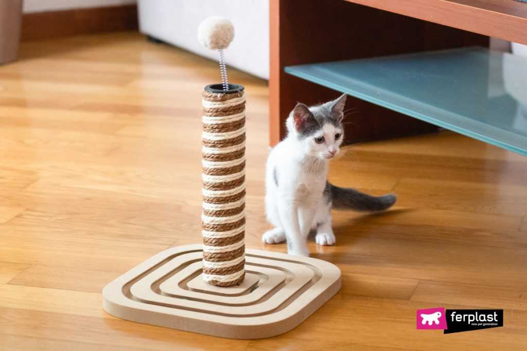 Игровой комплекс для кошек: купить или сделать своими руками