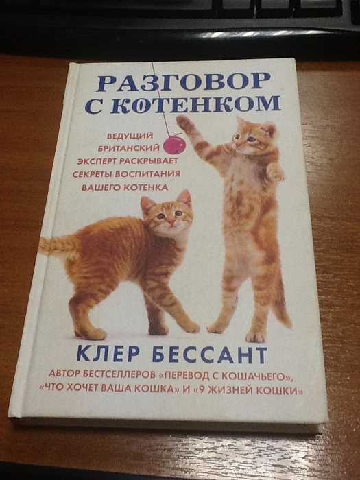 “одного котенка возвращали три раза”. как понять, что вы готовы взять животное из приюта | православие и мир