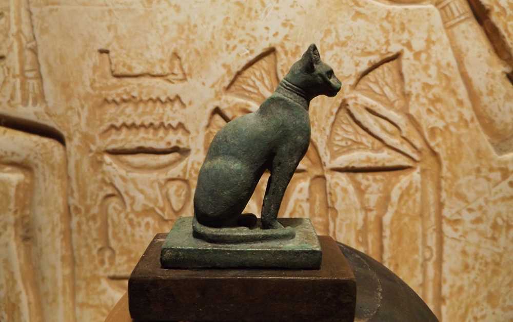 Божественные кошки в древнем египте