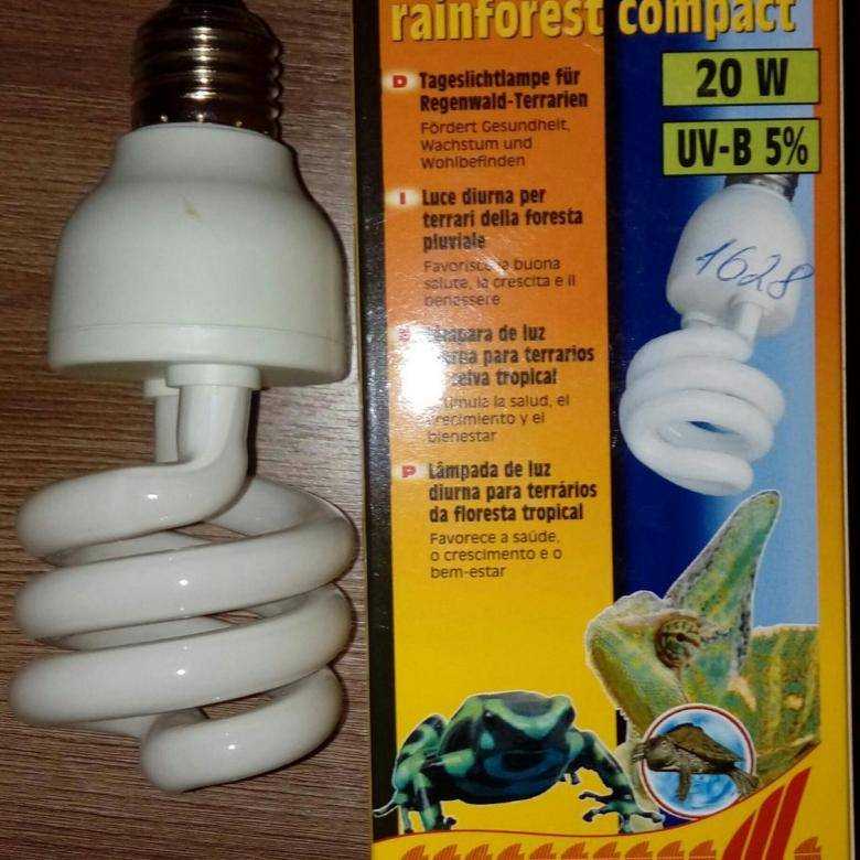 Ультрафиолетовая лампа для черепахи своими руками. влияние ультрафиолетового света на черепах