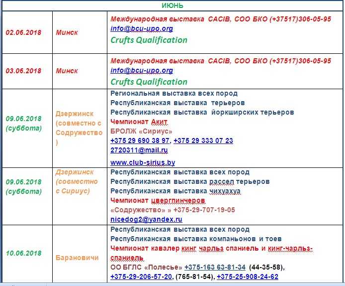 Расписание выставок. Расписание выставки собак. График выставок собак. Расписание выставок собак в СПБ. Расписание выставок на год.