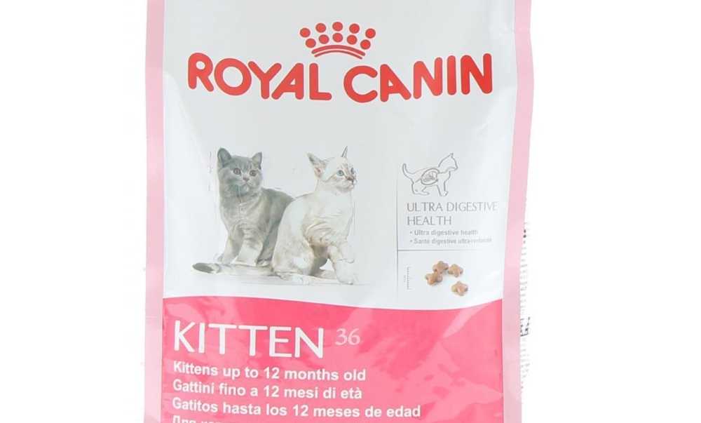 Корм для шотландских котят. Royal Canin для шотландских вислоухих кошек. Роял Канин для шотландских вислоухих котят. Роял Канин для котят для шотландских котят. Роял Канин для вислоухих шотландцев.