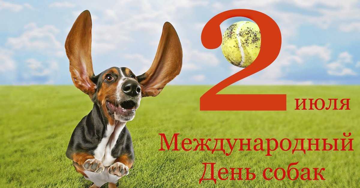 Всемирный день домашних животных в 2020 году: какого числа, дата и история праздника
