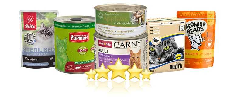 Какой корм для котят лучше: рейтинг качества, плюсы и минусы