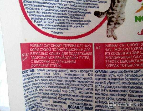 Now корм для кошек: 5 популярных видов, отзывы