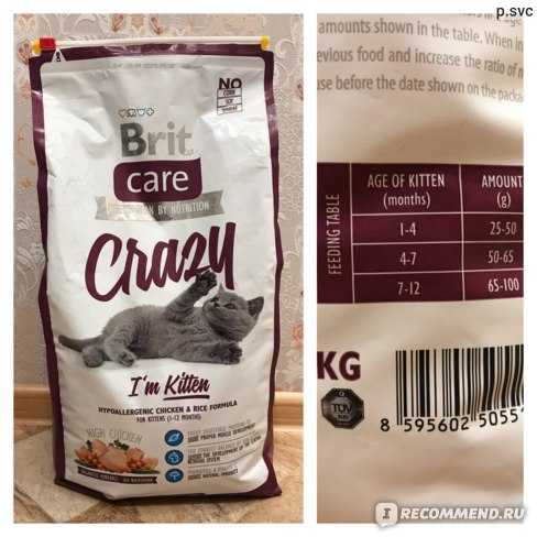 Чем кормить котёнка в 1,5 месяца: полезные рекомедации