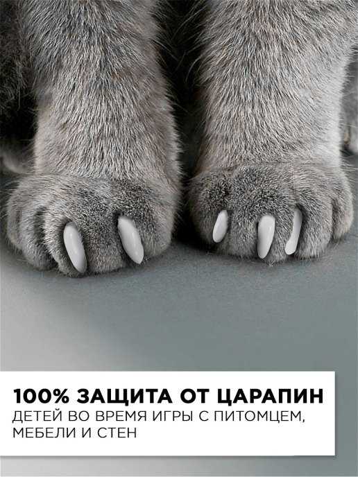 Антицарапки для кошек отзывы ветеринаров об изделиях
