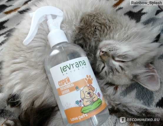 Запахи, которые не переносят большинство кошек