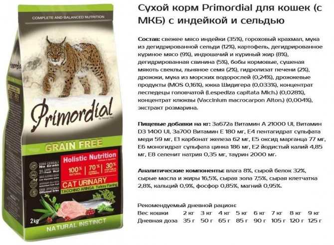 Как правильно кормить стерилизованную кошку?