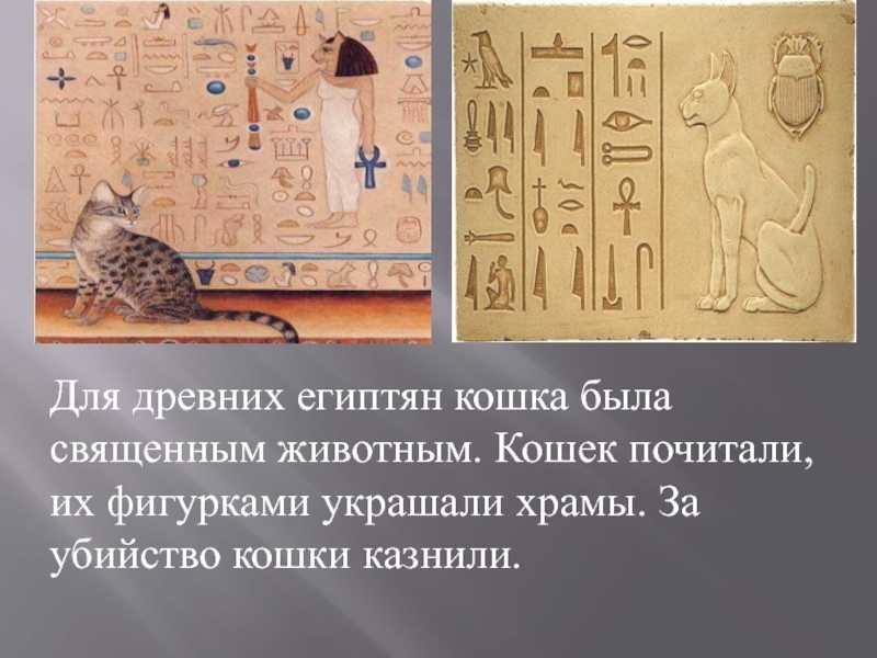 Египетская кошка статуэтка – значение талисмана, богиня бастет