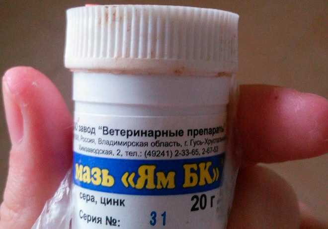 Мазь ям бк: инструкция для человека, отзывы, цена в аптеках, состав - medside.ru