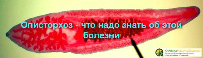Лечение и профилактика мочекаменной болезни у кошек и собак | артемида - ветеринарная клиника во владимире с 25-летней историей