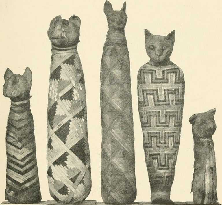 Кошки в древнем египте