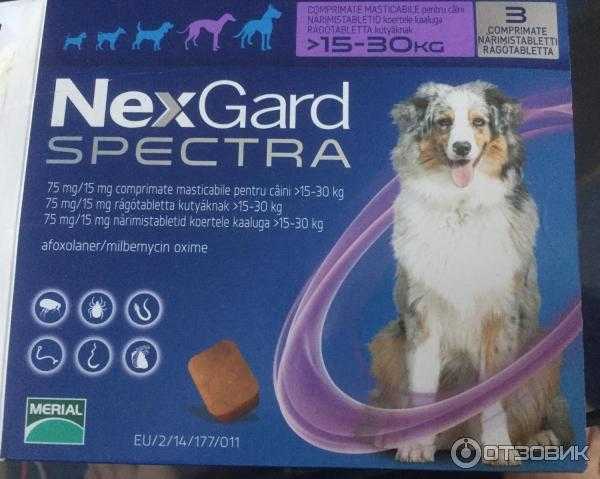Nexgard для собак инструкция