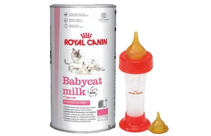 Можно кормить котят детскими смесями. Смесь для выкармливания котят Роял Канин. Бутылочка Роял Канин для вскармливания котят. Смесь Роял Канин для котят с бутылкой. Royal Canin для выкармливания котят.