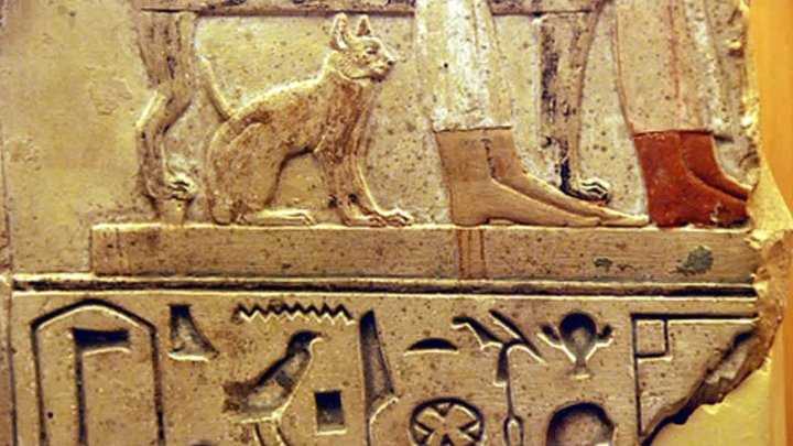 Кошки в египте