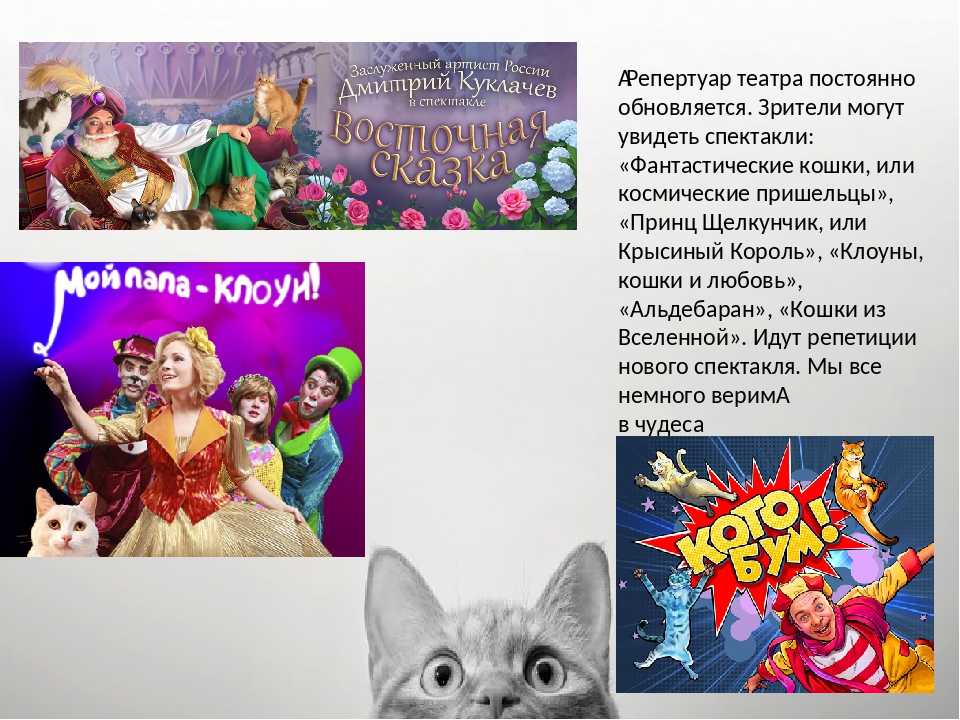 Юрий куклачев театр кошек