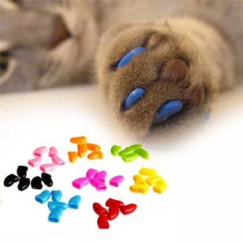 Силиконовые накладки на когти для кошек: колпачки, насадки, наклейки, накладные ногти, чехлы, накогтники, антицарапки