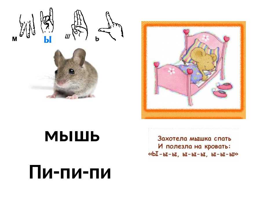 ᐉ почему домашняя крыса лижет руки - zoopalitra-spb.ru