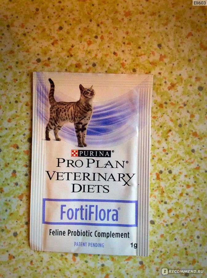 «fortiflora» для кошек: способ применения и дозировка