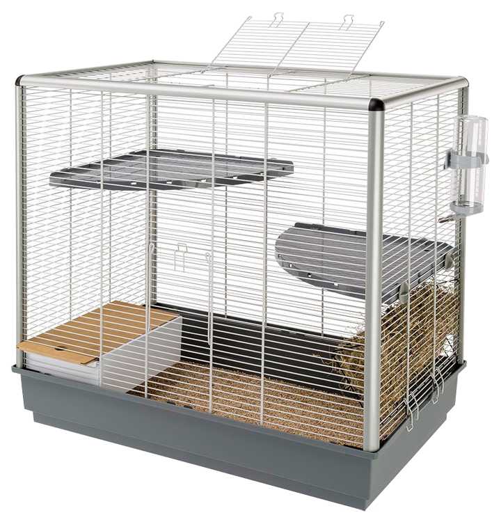Клетки для грызунов (45 фото): большой домик с поилкой и витрина. пластиковую или деревянную клетку лучше выбрать для мелких грызунов?