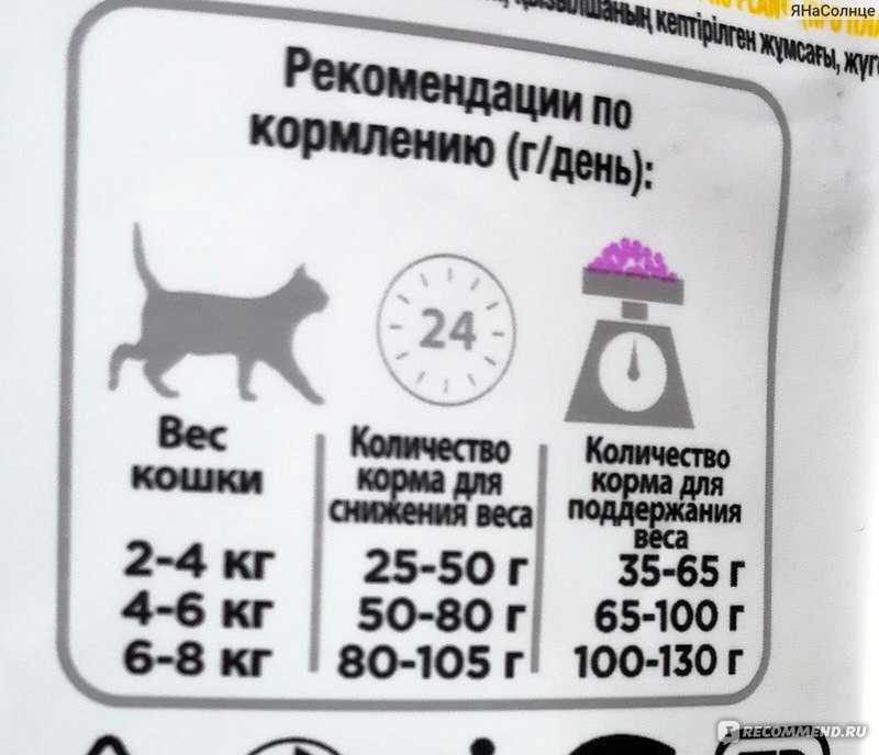 Норма корма для котенка в день: таблица норм для кормления котенка сухим и влажным кормом. сколько граммов корма необходимо для котенка 4 месяцев и других возрастов?
