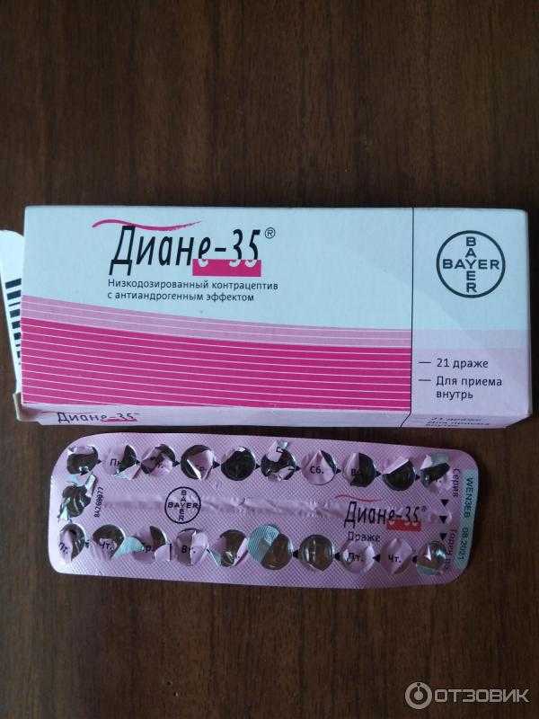 ᐉ противозачаточные средства для кошек – контрацептивы для котов - zoomanji.ru