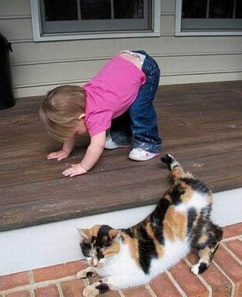 Видать не совсем. Дети и коты. Кошка для детей. Прикольные коты и дети. Дети и животные смешное.