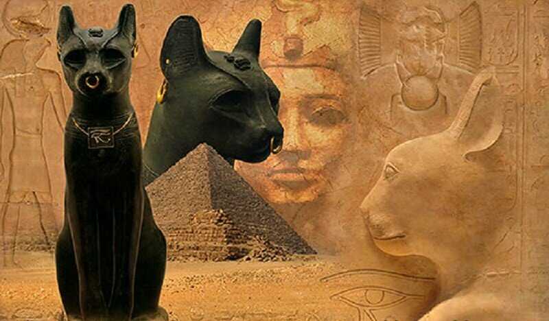Кошки в древнем египте википедия