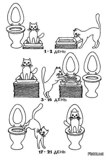 Несколько способов о том, как приучить котенка к туалету в квартире быстро и без лишних хлопот. Обзор средств и приспособлений и полезные советы.