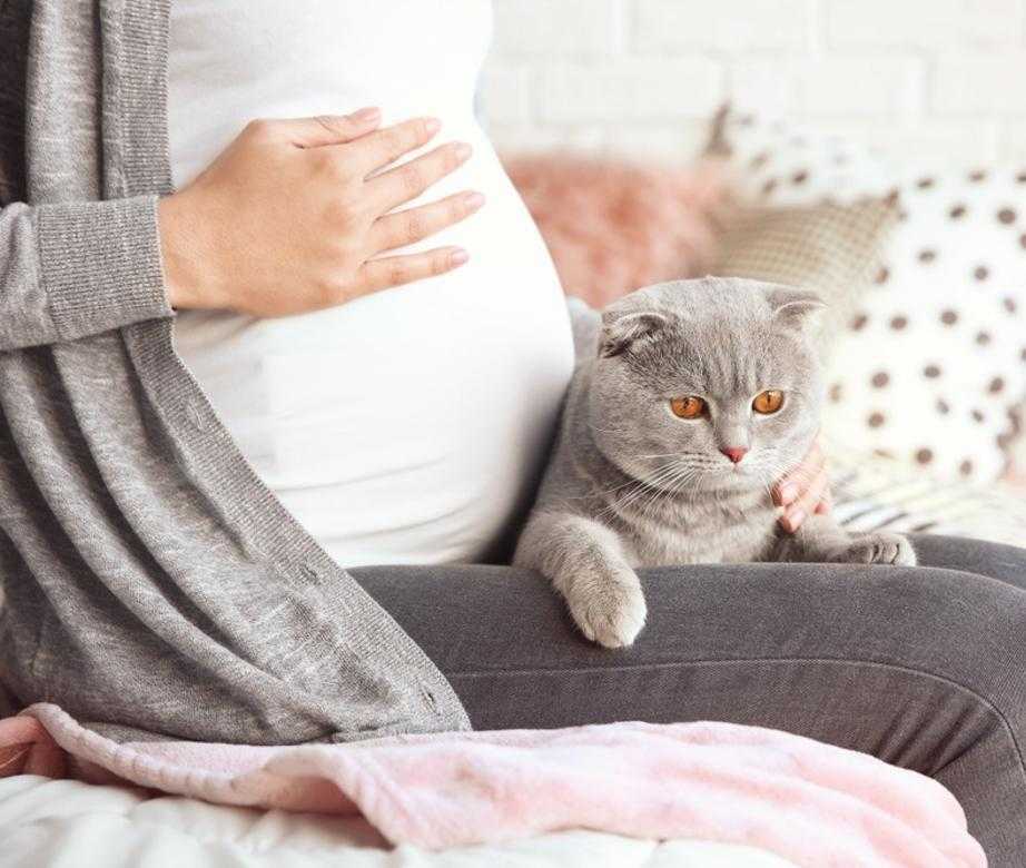 Приметы и суеверия во время беременности. верить или нет? - страна мам