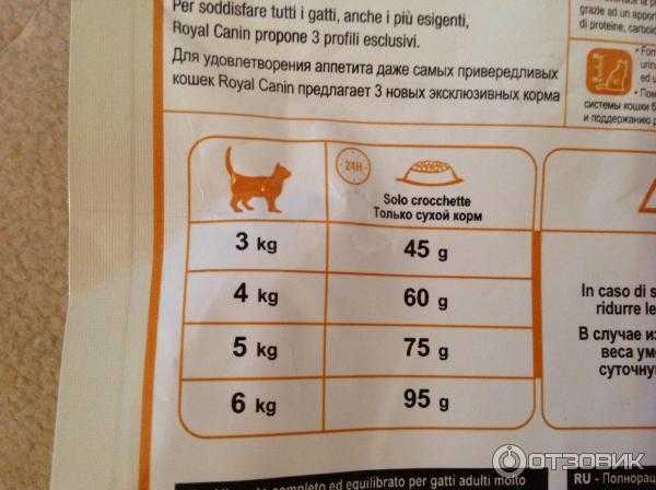 Можно ли кормить котенка детским питанием: уход и таблица питания питомца