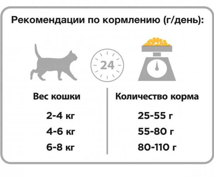 Все ли можно давать кошке: корма и продукты, которые можно есть кошкам - purina-catchow.ru
