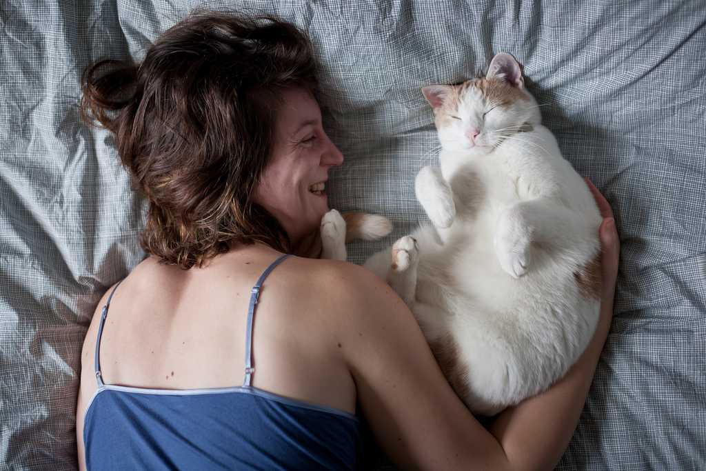 Чувствуют ли кошки любовь хозяина, хозяйки