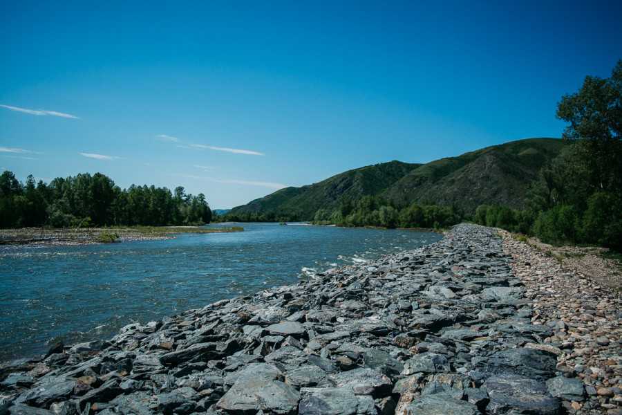 Чарыш сплав