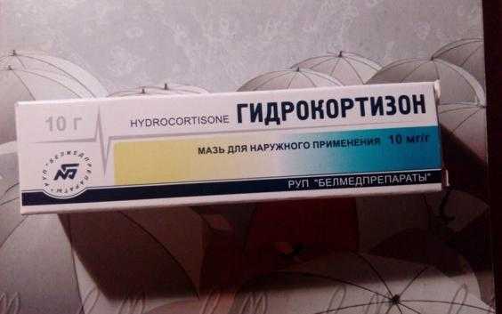 Тетрациклиновая мазь для кошек — инструкция по применению
