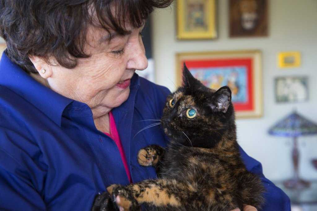 Кот, который прожил 31 год и смог поставить рекорд по долгожительству: как зовут самого старого кота, фото питомца, другие рекордсмены