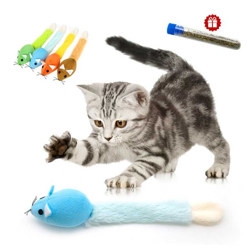 Котовник кошачий (кошачья мята): свойства и применение
