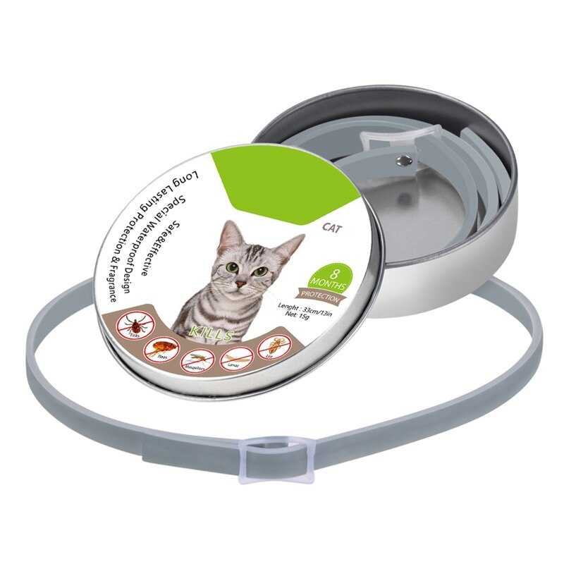 Ошейники для кошек от блох и клещей: эффективность, плюсы и минусы, модели ошейников от блох для котят и беременных, кормящих кошек