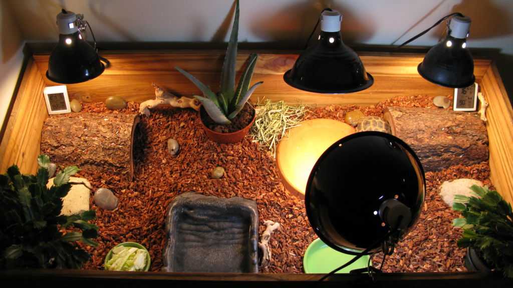 Ультрафиолетовая лампа для сухопутных и водных черепах