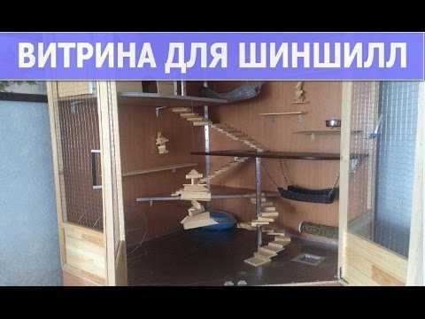 ᐉ как сделать домик для хомяка своими руками в домашних условиях - zoopalitra-spb.ru