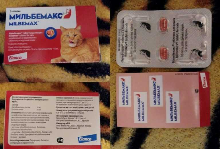 Мильбемакс, таблетки для щенков и собак против глистов, инструкция